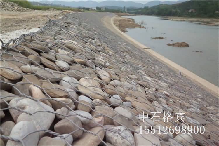 護墊效果圖.jpg 護墊效果圖.jpg